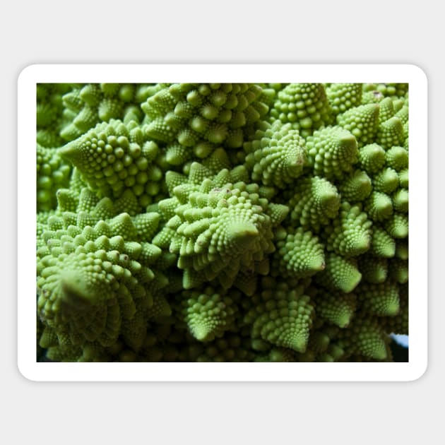 Green Romanesco cauliflower Sticker by Reinvention